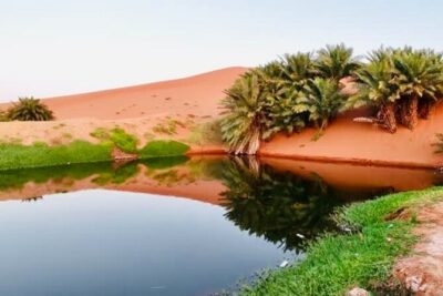 Riyadh City Tour with Camel Riding