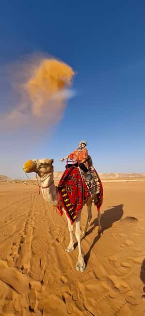 Riyadh: Desert Sand Dunes (VIT-Qude bike + Camel Ride) - Leaving Riyadh in a comfortable SUV