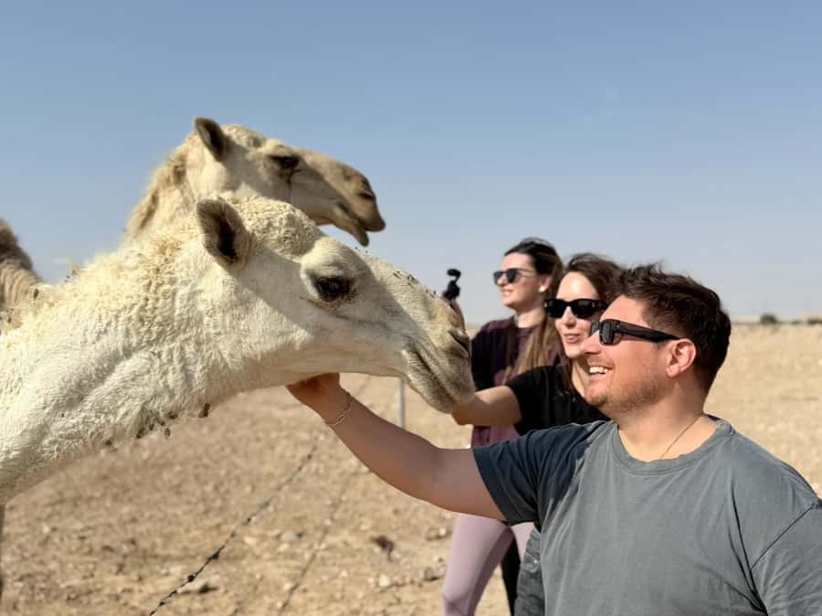 Riyadh: Edge Of The World, camels &Stargazing with 4x4 - Dinner beside the desert lights