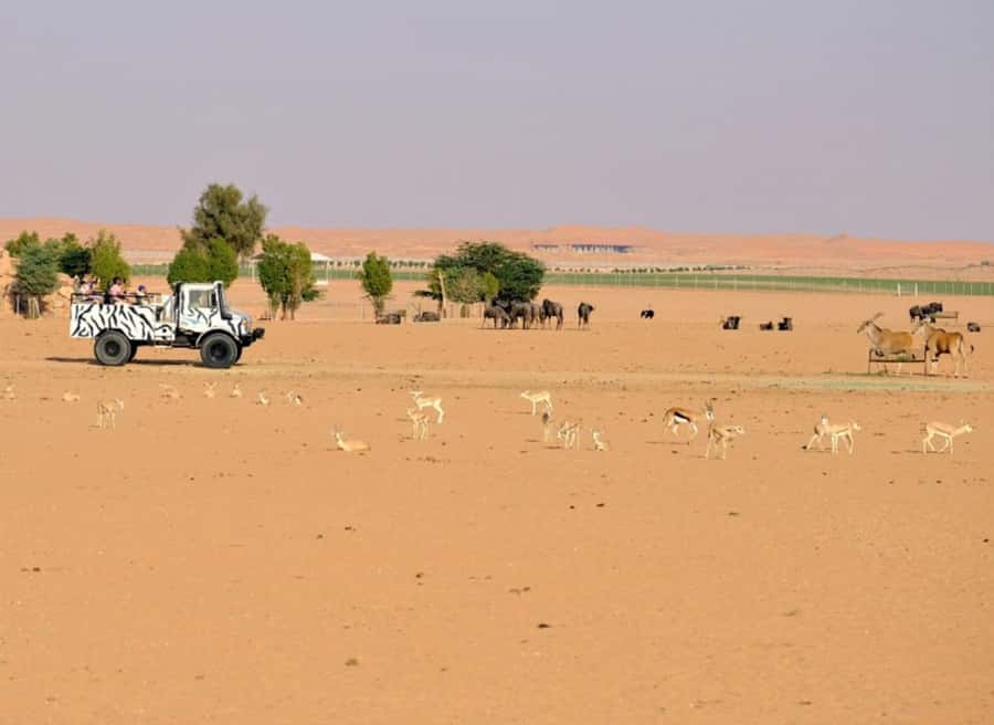 Riyadh: Open-Topped Vehicle Safari at Nofa Wildlife Park - Boarding the open-topped vehicle