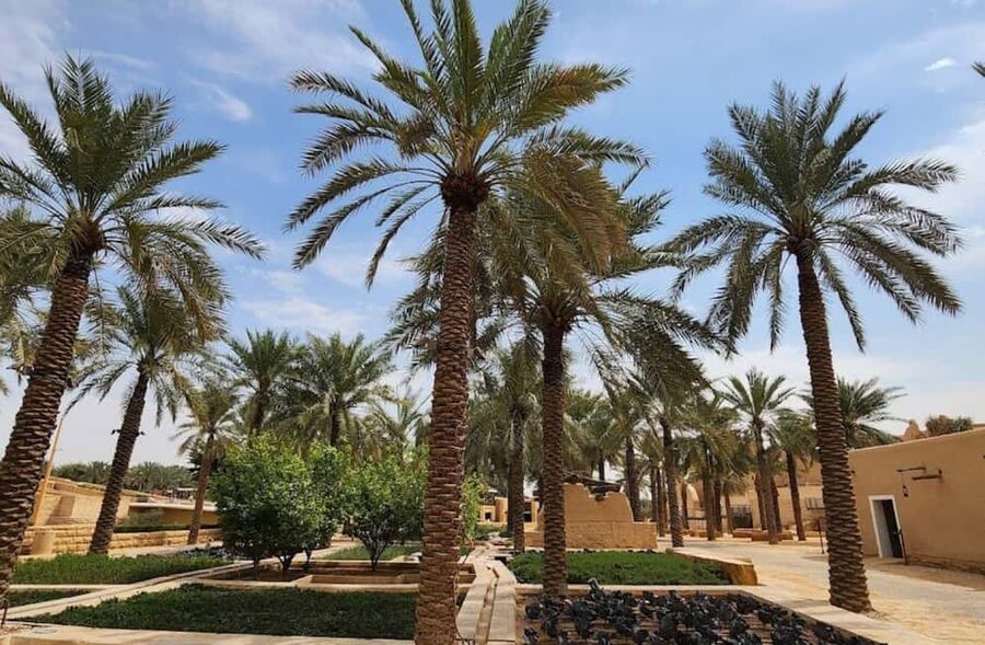 Riyadh Private Full or Half-Day City Tour with Kingdom Tower - Key points to know before booking