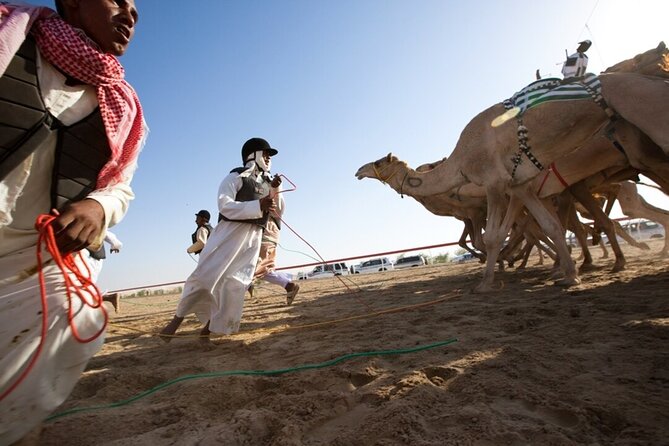 Riyadh Red Sand Dunes 4x4 (Camel Ride, Quad biking, Old Palace) - The camel ride: slower, quieter, and shorter