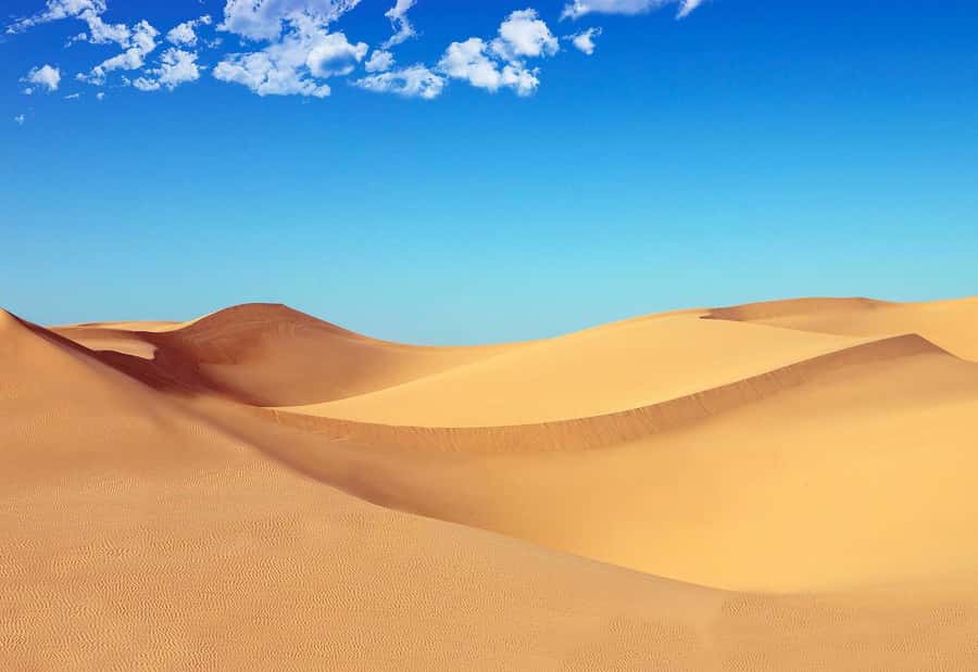 Riyadh: Sand Dunes Desert Safari, Quad Bike, Camel Ride - The Quad Bike Ride: Thirty Minutes of Action