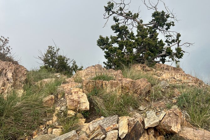 Sawda Mountains Hiking Trail - Osama’s Stories Bring the Route to Life