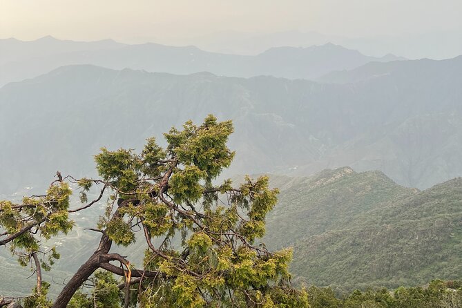 Sawda Mountains Hiking Trail - Small Details That Improve the Day