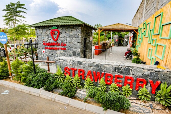 Visit Taif The City of Roses - Seven Huts Café and a flexible meal break