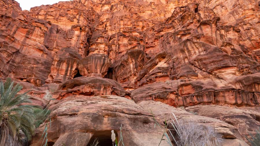Wadi Disah Adventure (from Tabuk) - Keshta: the best pause of the day