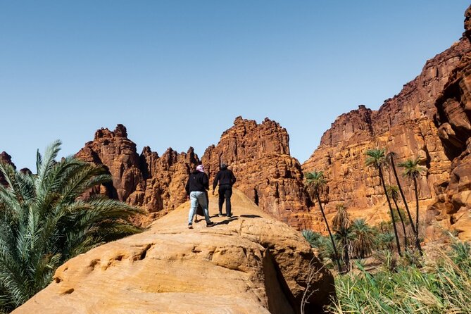 Wadi Disah Adventure from Tabuk | Al Ula - Cliffs, palms, and water streams
