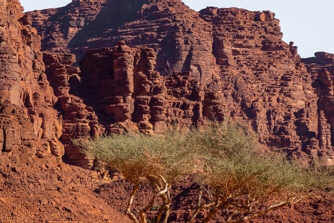 Wadi Disah Adventure from Tabuk | Al Ula - The Keshta pause with coffee, tea, and dates