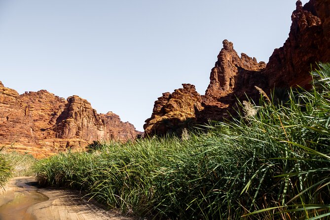 Wadi Disah Adventure from Tabuk | Al Ula - Entering the canyon for the one-hour exploration