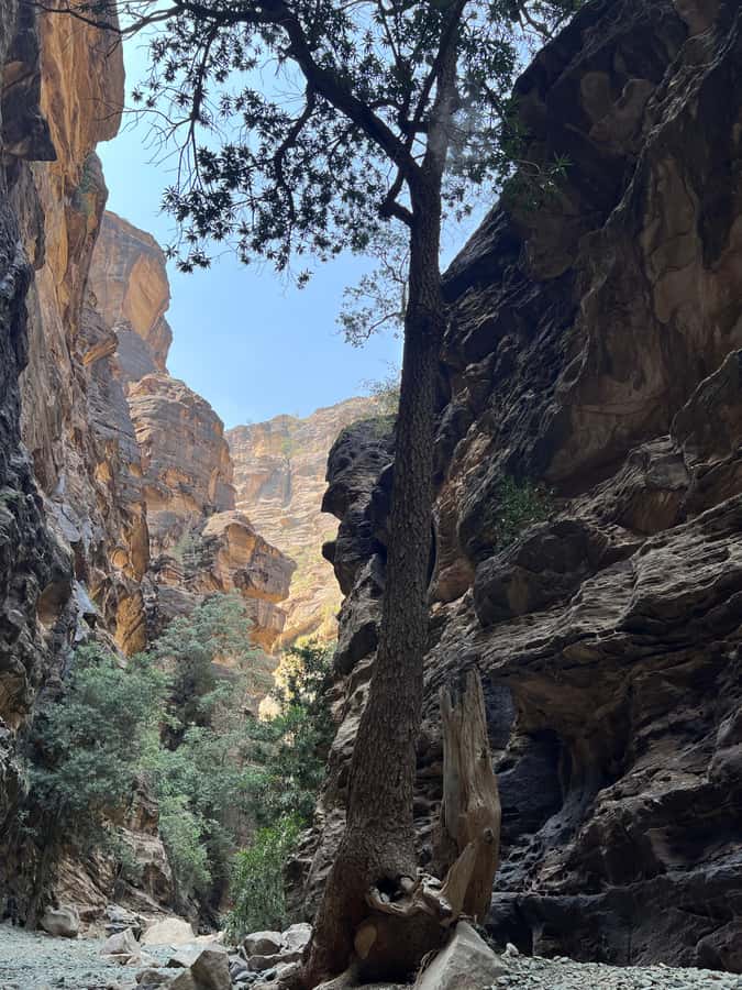 Wadi Lajab Canyon Hiking Tour - Entering Wadi Lajab’s narrow passages
