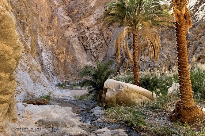 Walk In Moses' Footsteps - Tour between Tabuk and The Red Sea - Optional climbs to Elijah’s cave and Jebel Maqla