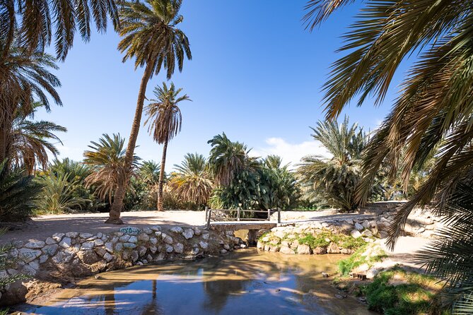Wonders of Tabuk Tour 3 Days 2 Nights Tour - Why this Tabuk trip is different